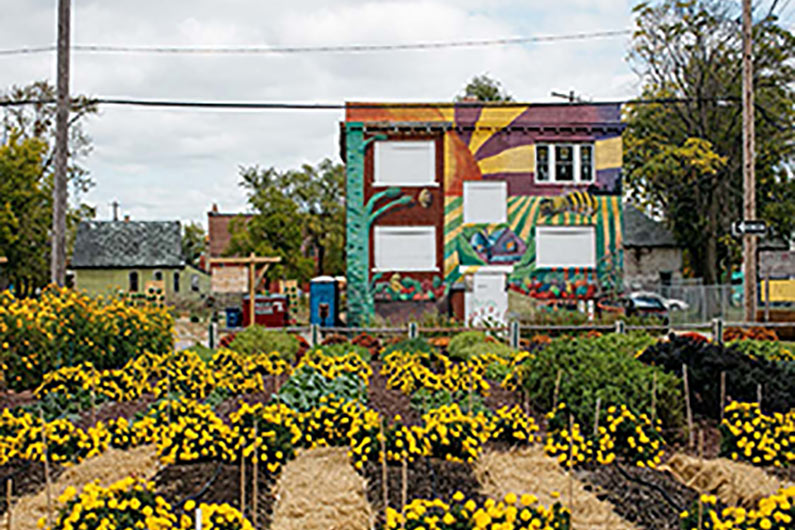 Neighborhood Beautification